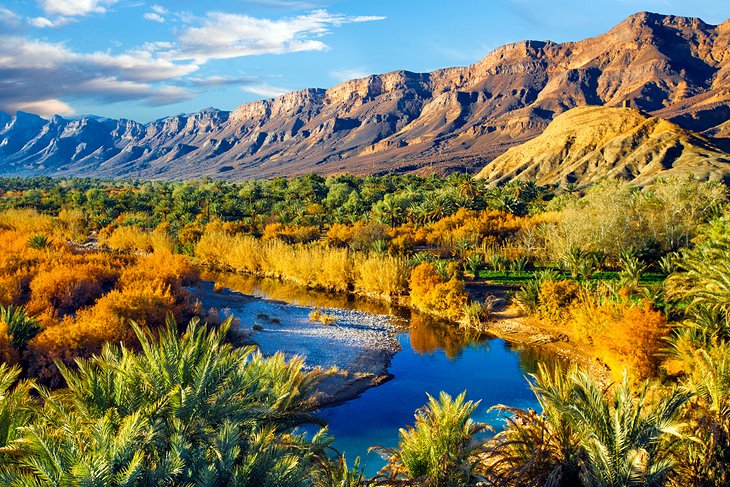 draa valley Morocco